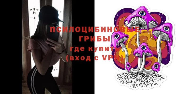 Галлюциногенные грибы Psilocybe  дарк нет Telegram  Клинцы 